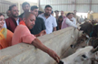 Humans are important but so are cows, will protect everyone, says  Yogi Adityanath